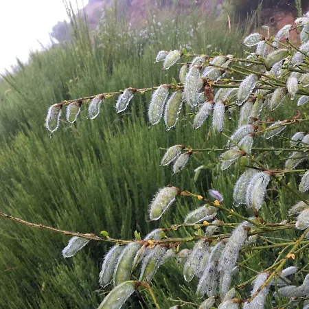 Tamariz Adventure - Sea View And Free Parking