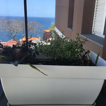 Tamariz Adventure - Sea View And Free Parking