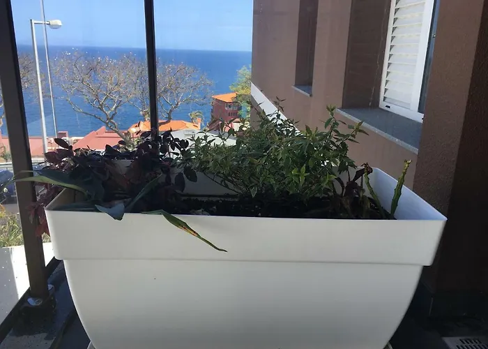 Tamariz Adventure - Sea View And Free Parking